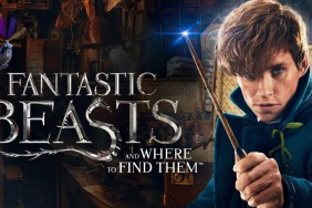 Fantastic Beasts and Where to Find Them Streaming: Watch & Stream Online via HBO Max