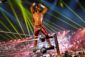 WWE Releases Emma, Mustafa Ali, and More